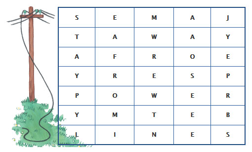 Cross word puzzle that contains the hidden message Stay Away From Powerlines.