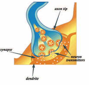 Illustration of neurotransmitters